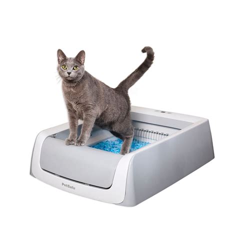 self cleaning litter box petsmart